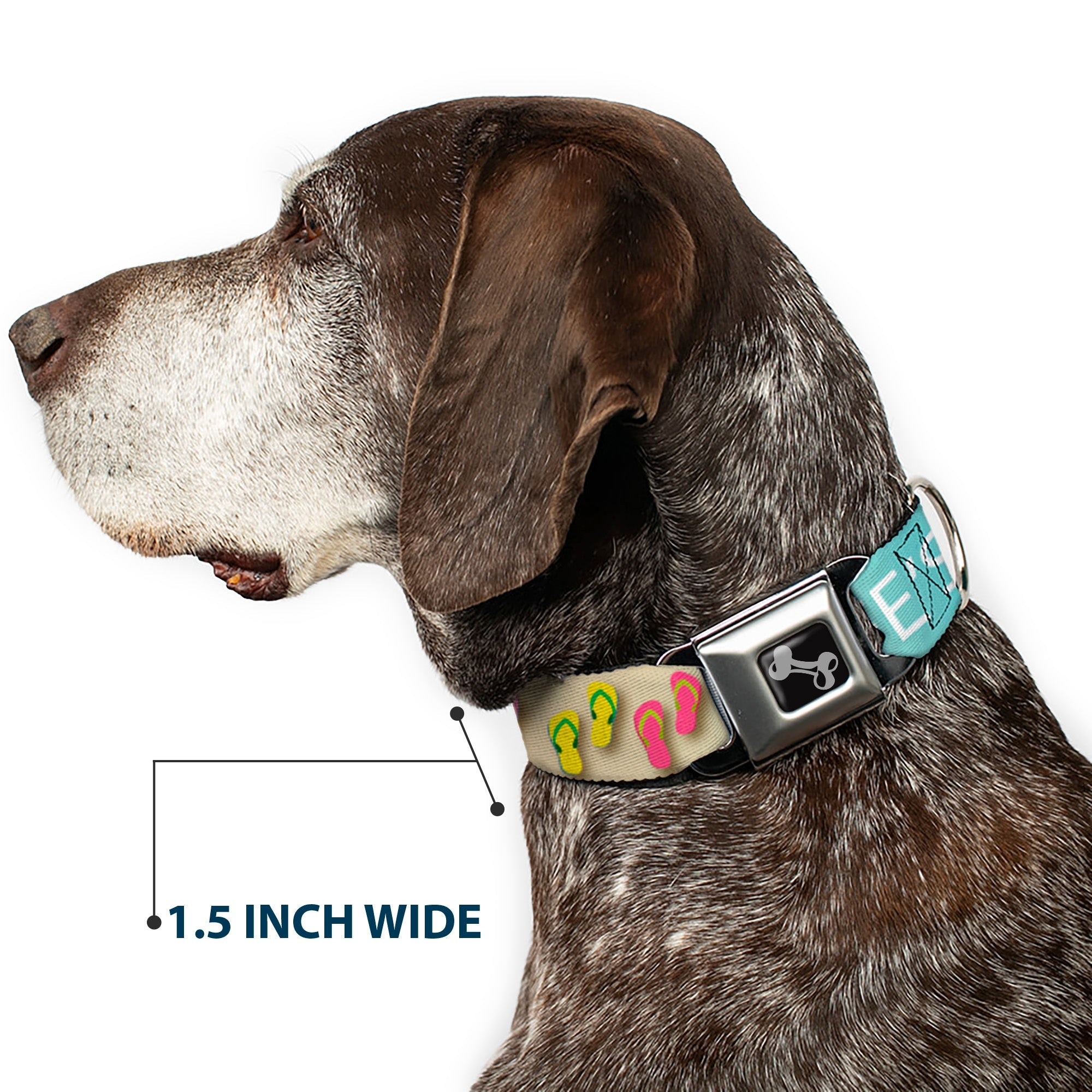 Dog Bone Seatbelt Buckle Collar - Flip Flops7 LIFE'S A BEACH Tan/Aqua/White