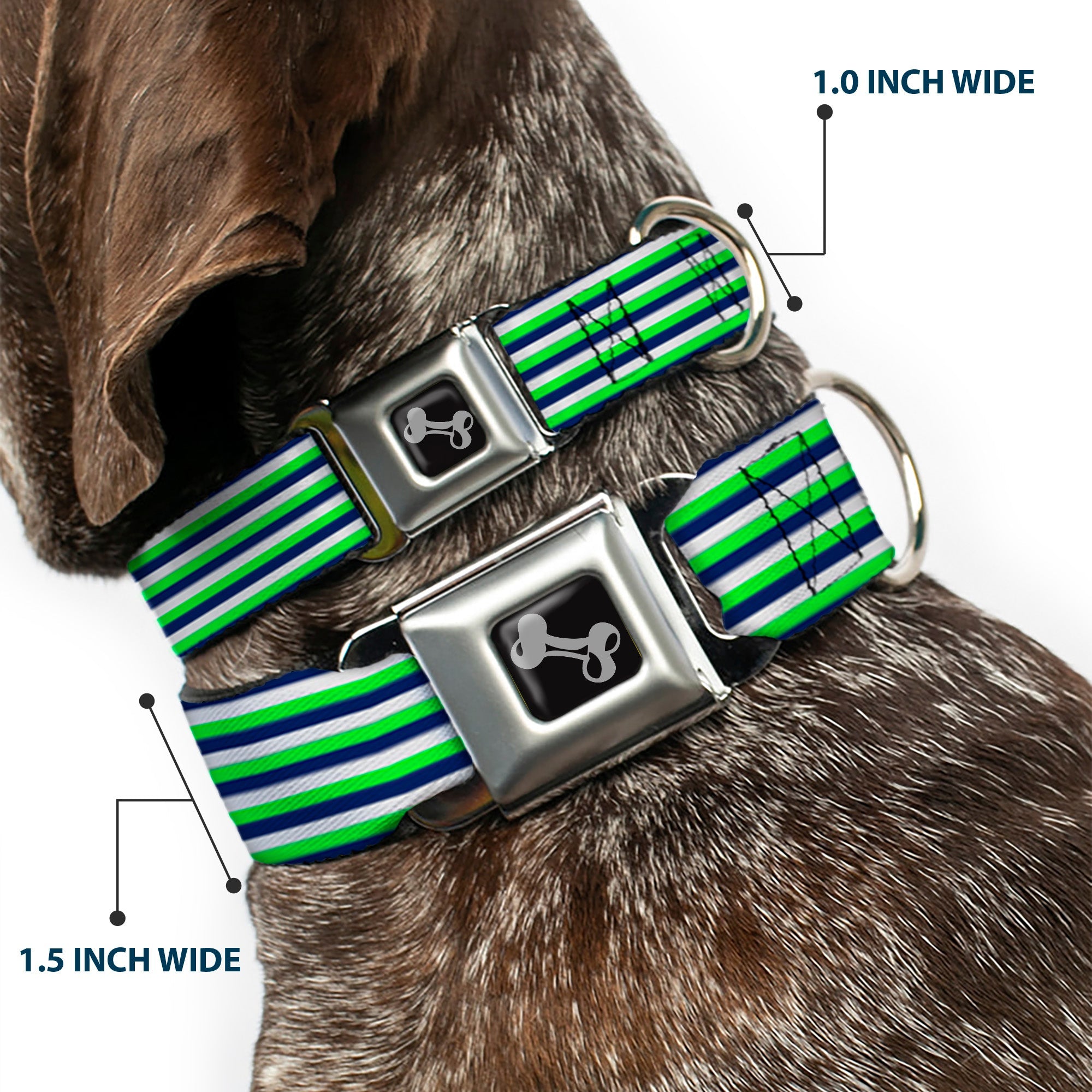 Dog Bone Black/Silver Seatbelt Buckle Collar - Fine Stripes White/Neon Green/Navy