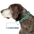 Load image into Gallery viewer, Dog Bone Black/Silver Seatbelt Buckle Collar - Fine Stripes White/Neon Green/Navy
