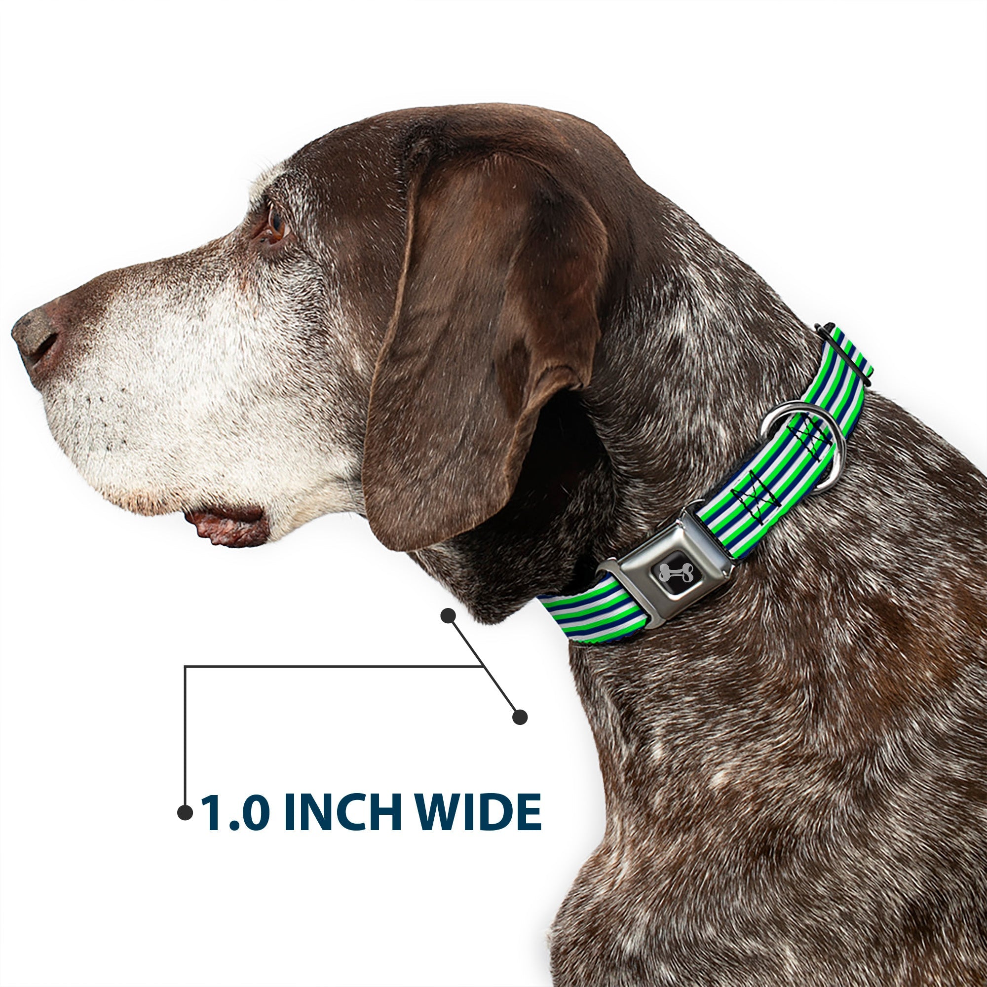 Dog Bone Black/Silver Seatbelt Buckle Collar - Fine Stripes White/Neon Green/Navy