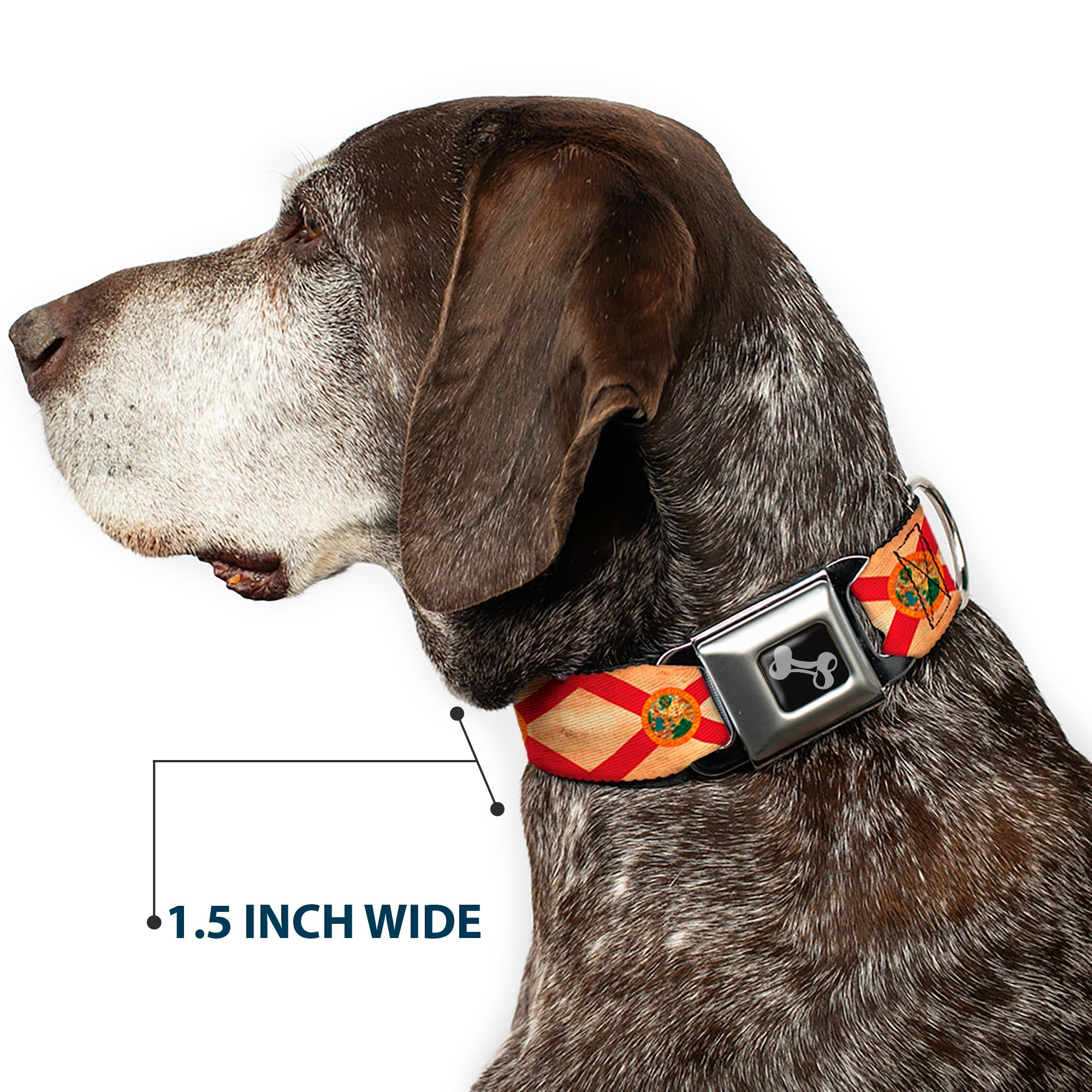 Dog Bone Black/Silver Seatbelt Buckle Collar - Florida Flag Continuous Vintage