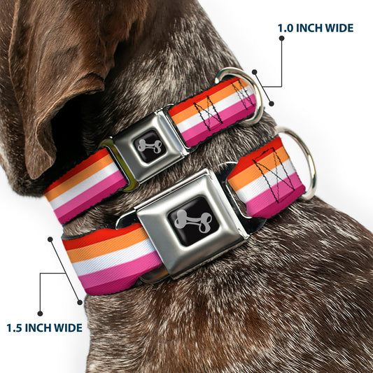 Dog Bone Black/Silver Seatbelt Buckle Collar - Flag Lesbian Five Stripe Oranges/White/Pinks