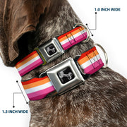 Dog Bone Black/Silver Seatbelt Buckle Collar - Flag Lesbian Five Stripe Oranges/White/Pinks