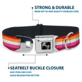 Load image into Gallery viewer, Dog Bone Black/Silver Seatbelt Buckle Collar - Flag Lesbian Five Stripe Oranges/White/Pinks
