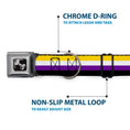 Load image into Gallery viewer, Dog Bone Black/Silver Seatbelt Buckle Collar - Flag Non-Binary Stripe
