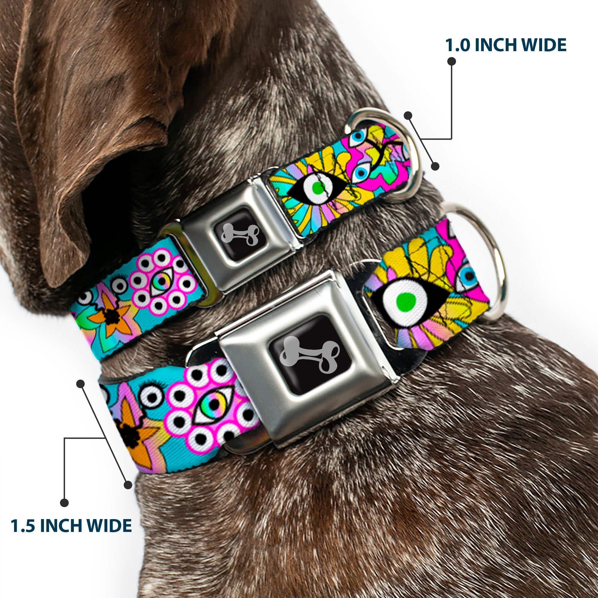 Dog Bone Black/Silver Seatbelt Buckle Collar - Funky Alien Flowers Aqua Blue/Multi Color