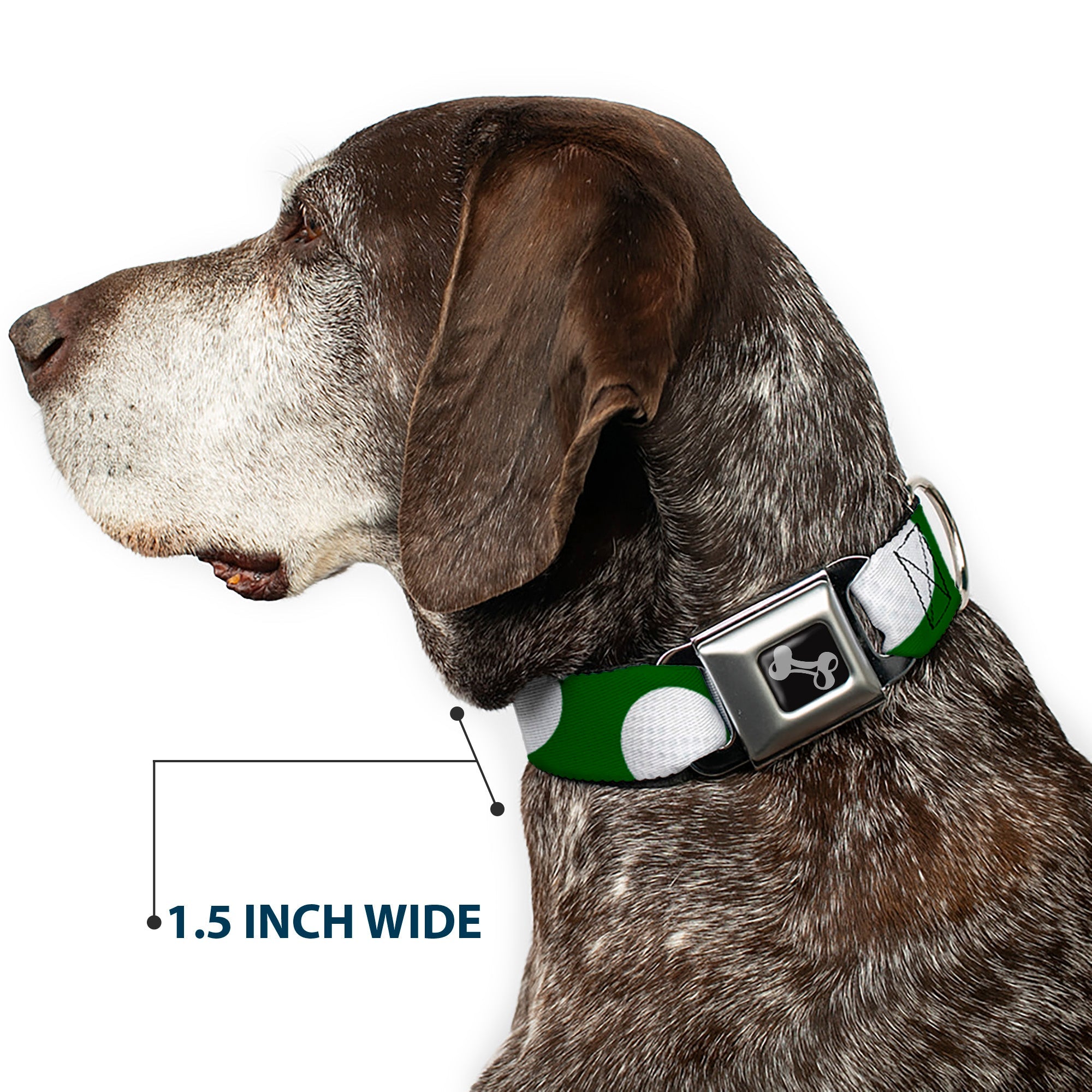 Dog Bone Black/Silver Seatbelt Buckle Collar - Golf Balls Scattered Green/White