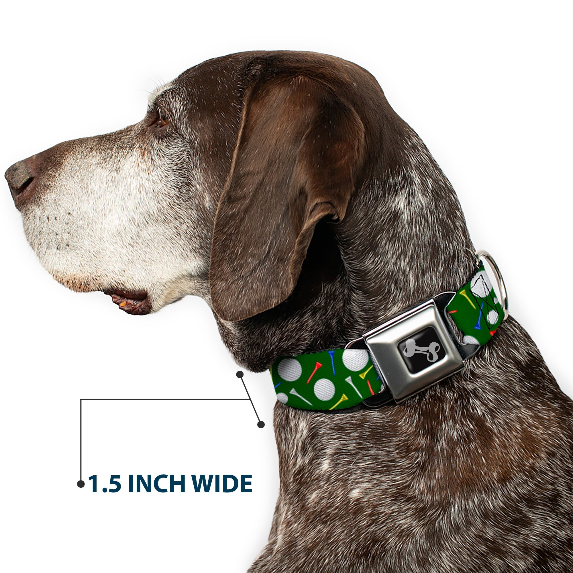 Dog Bone Black/Silver Seatbelt Buckle Collar - Golf Balls/Tees Scattered Green/Multi Color