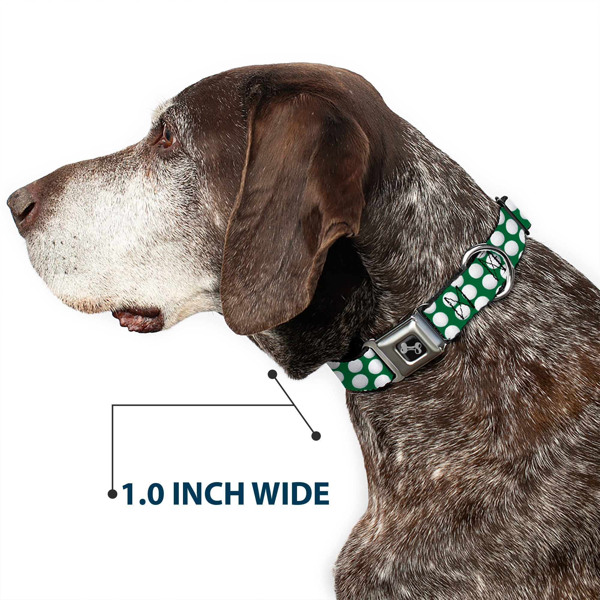 Dog Bone Black/Silver Seatbelt Buckle Collar - Golf Balls Green/White