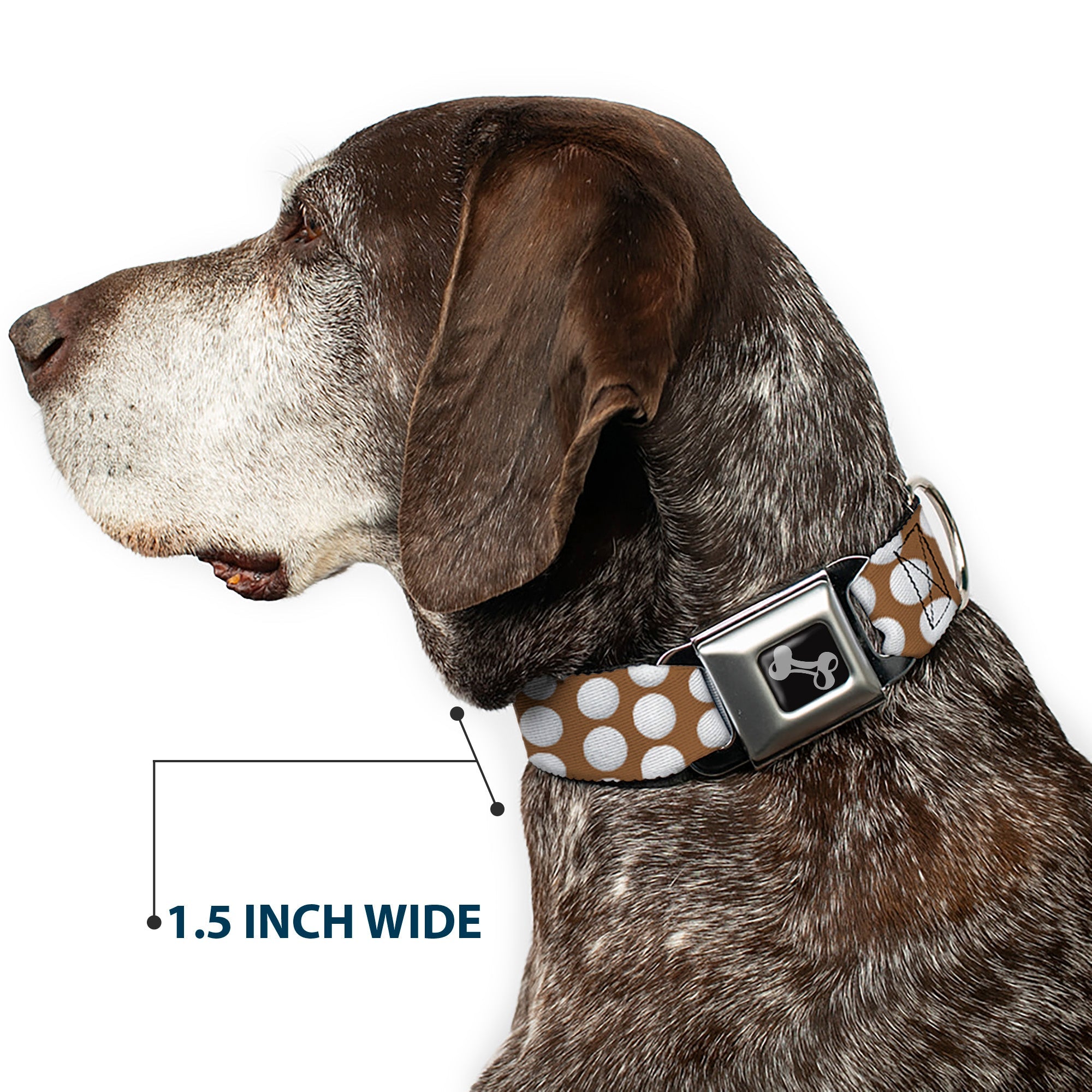 Dog Bone Black/Silver Seatbelt Buckle Collar - Golf Balls Tan/White