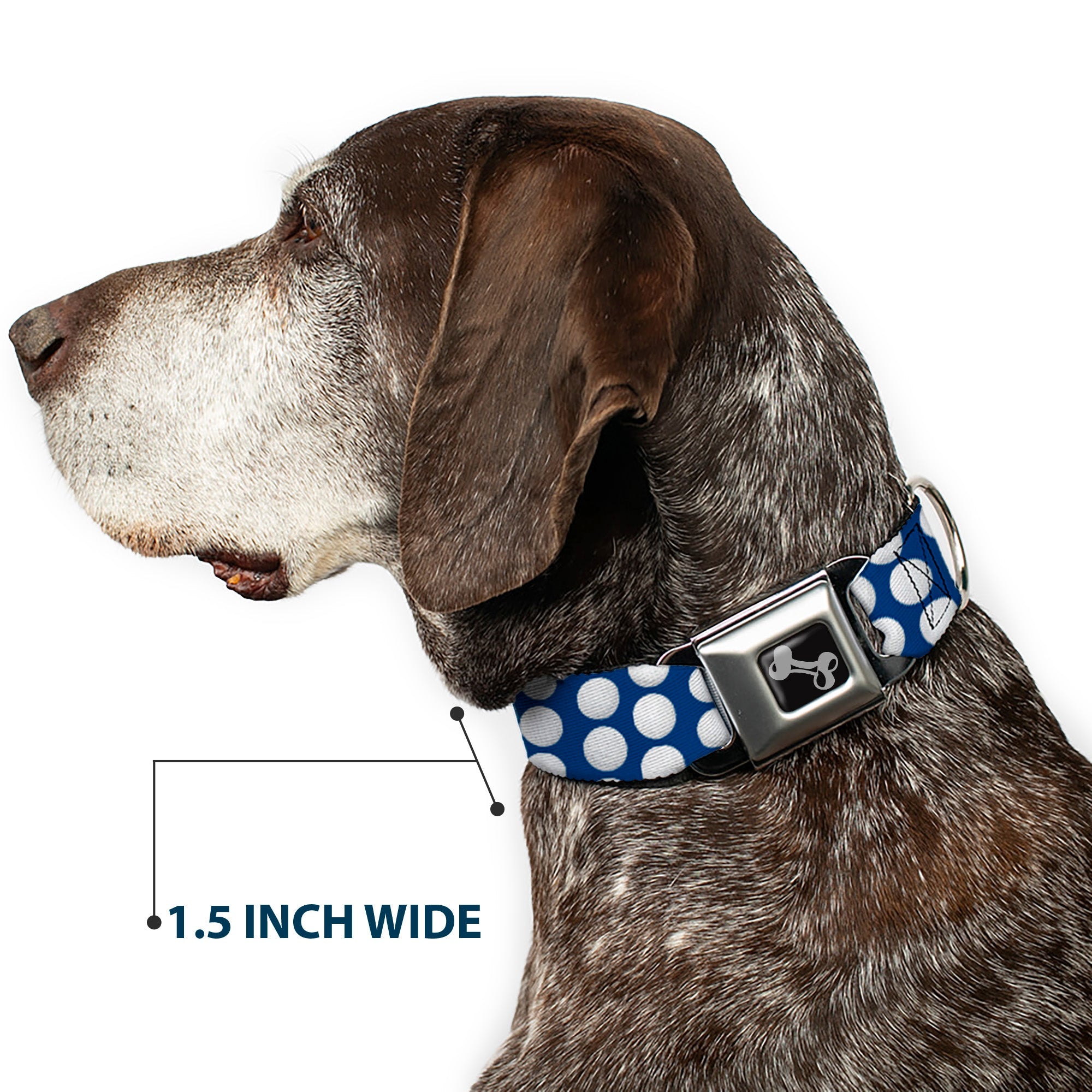 Dog Bone Black/Silver Seatbelt Buckle Collar - Golf Balls Blue/White