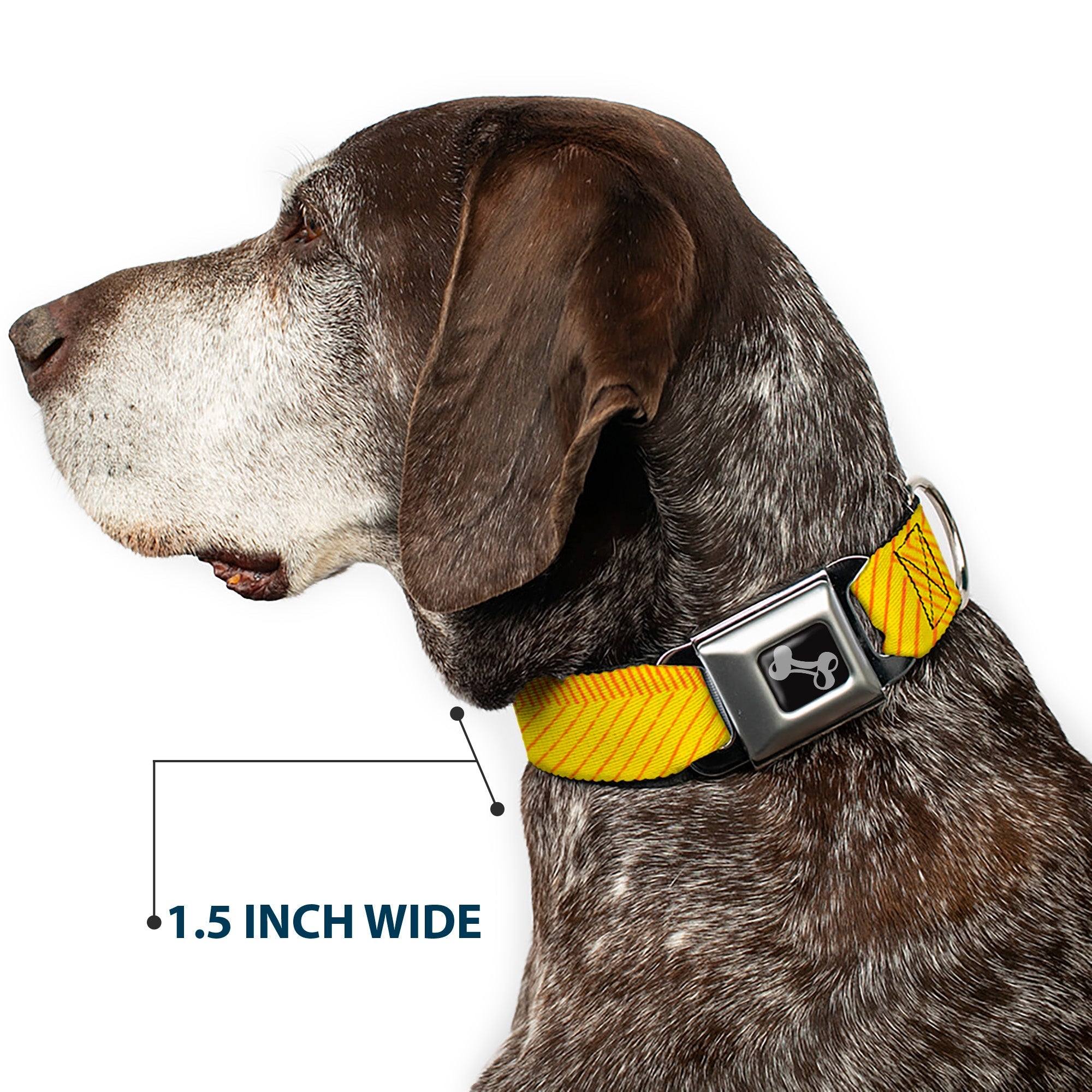 Dog Bone Seatbelt Buckle Collar - Hash Mark Stripe Yellow/Red