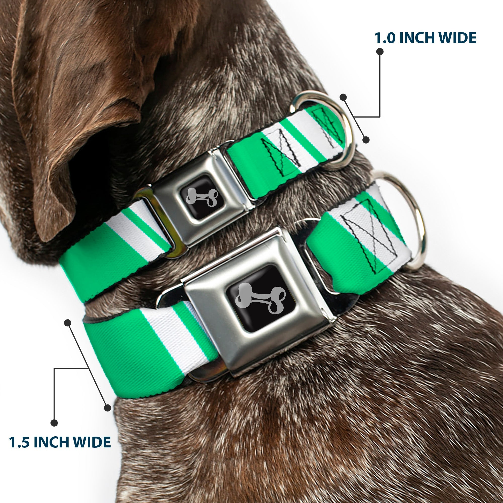 Dog Bone Seatbelt Buckle Collar - Hash Mark Stripe Double Green/Silver