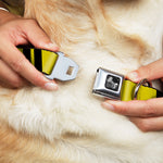 Dog Bone Seatbelt Buckle Collar - Hash Mark Stripe Double Gold/Black