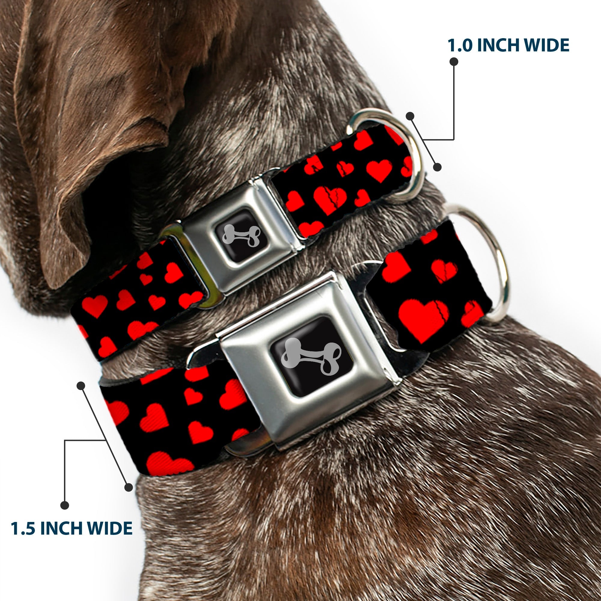 Dog Bone Seatbelt Buckle Collar - Hearts Scattered Black/Red