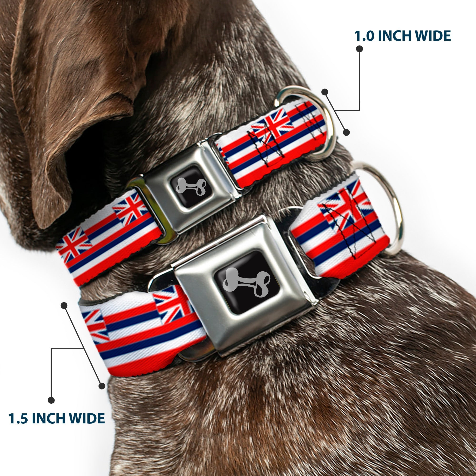 Dog Bone Black/Silver Seatbelt Buckle Collar - Hawaii Flag Continuous Repeat