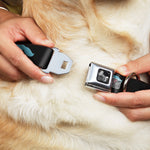 Dog Bone Seatbelt Buckle Collar - Mustaches Scattered Black/Turquoise