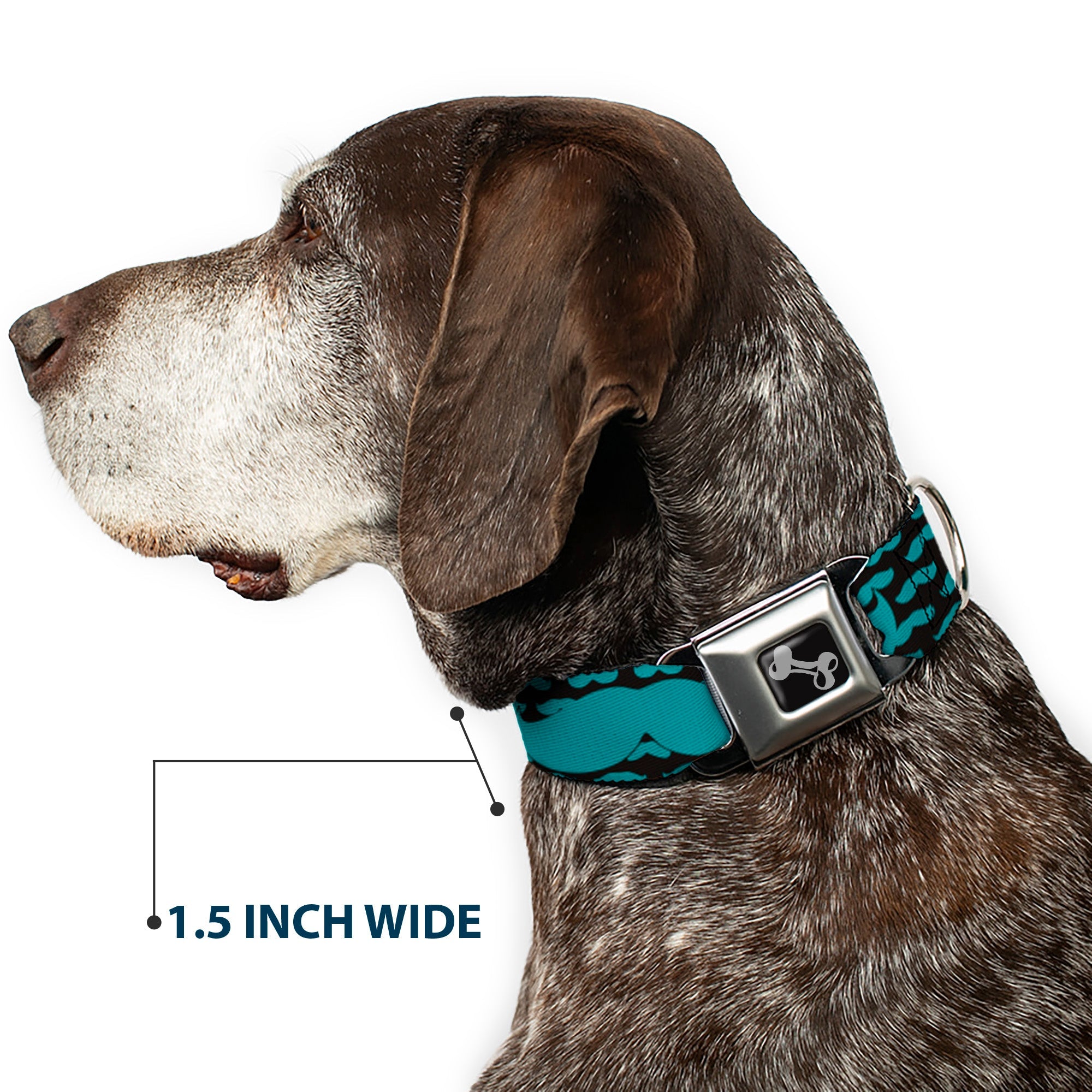 Dog Bone Seatbelt Buckle Collar - Mustaches Mini/Single Repeat Black/Turquoise
