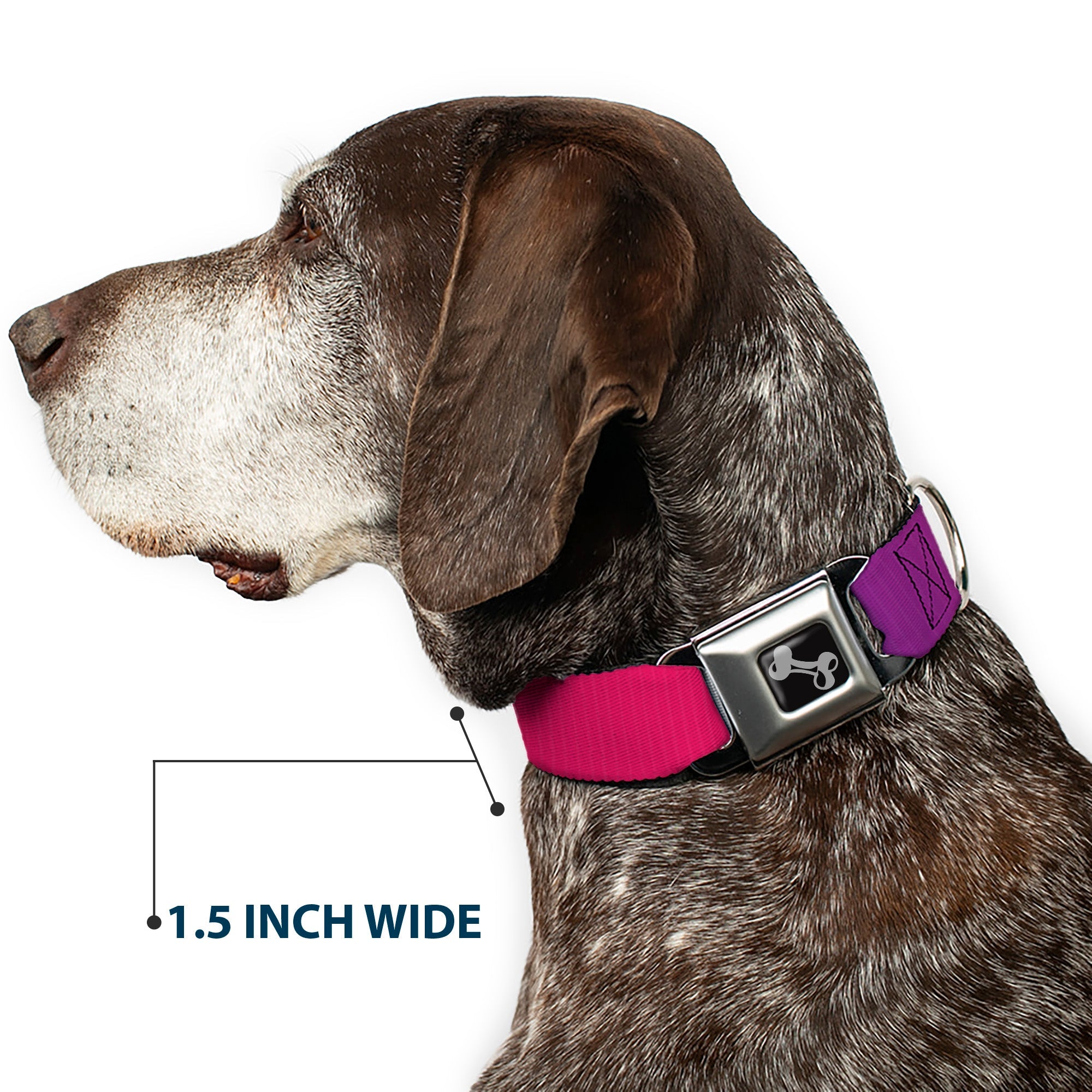 Dog Bone Seatbelt Buckle Collar - Multi Color Blocks