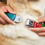 Dog Bone Seatbelt Buckle Collar - Multi Color Blocks