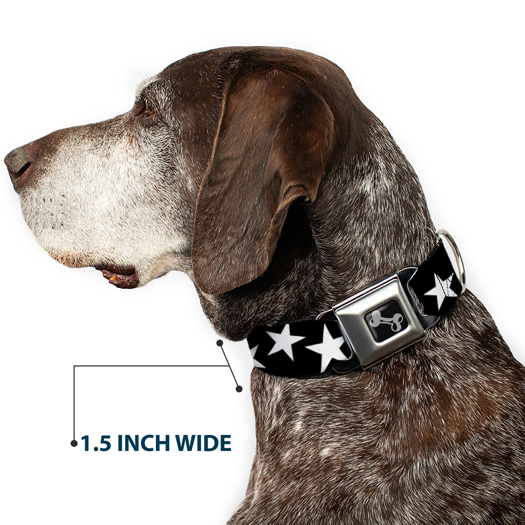 Dog Bone Seatbelt Buckle Collar - Multi Stars Black/White/Black/White Outline