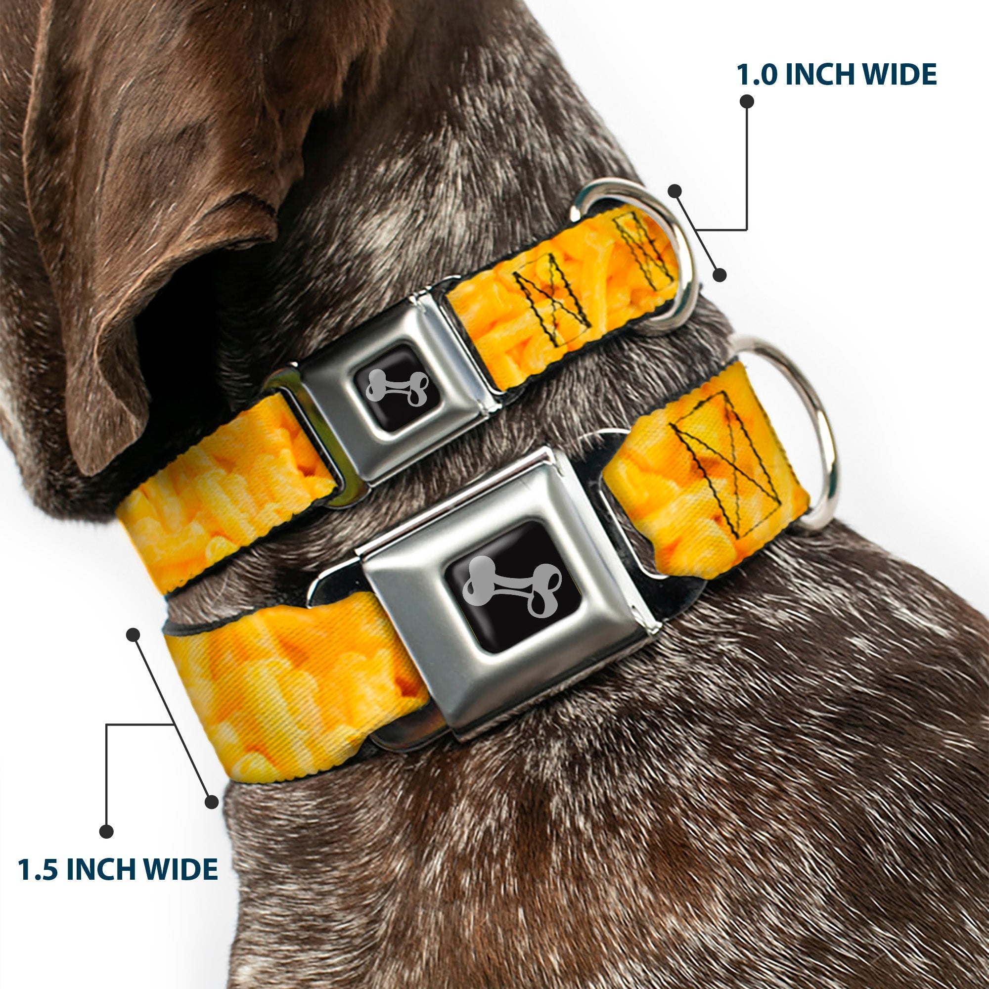 Dog Bone Seatbelt Buckle Collar - Mac & Cheese Vivid