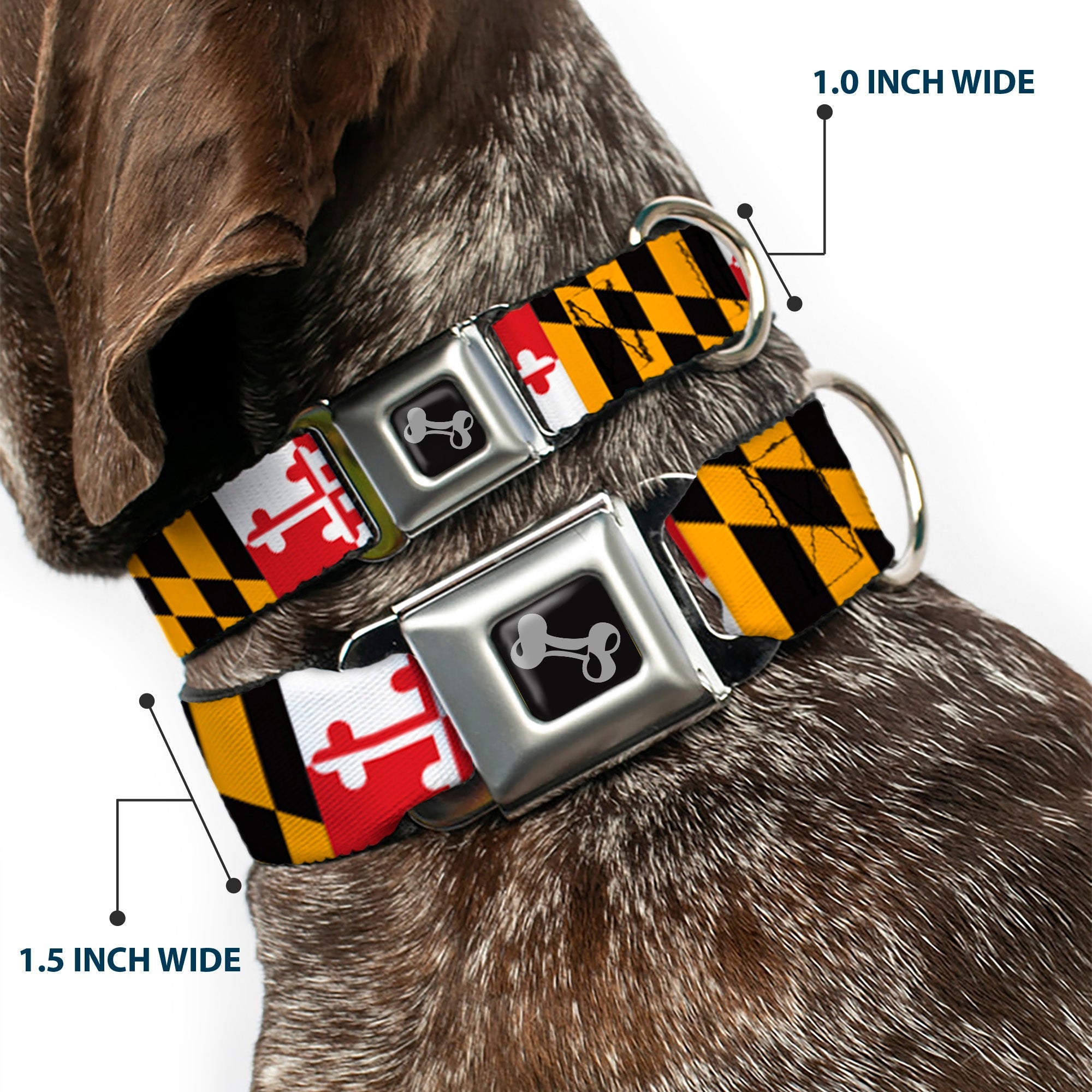 Dog Bone Seatbelt Buckle Collar - Maryland Flags