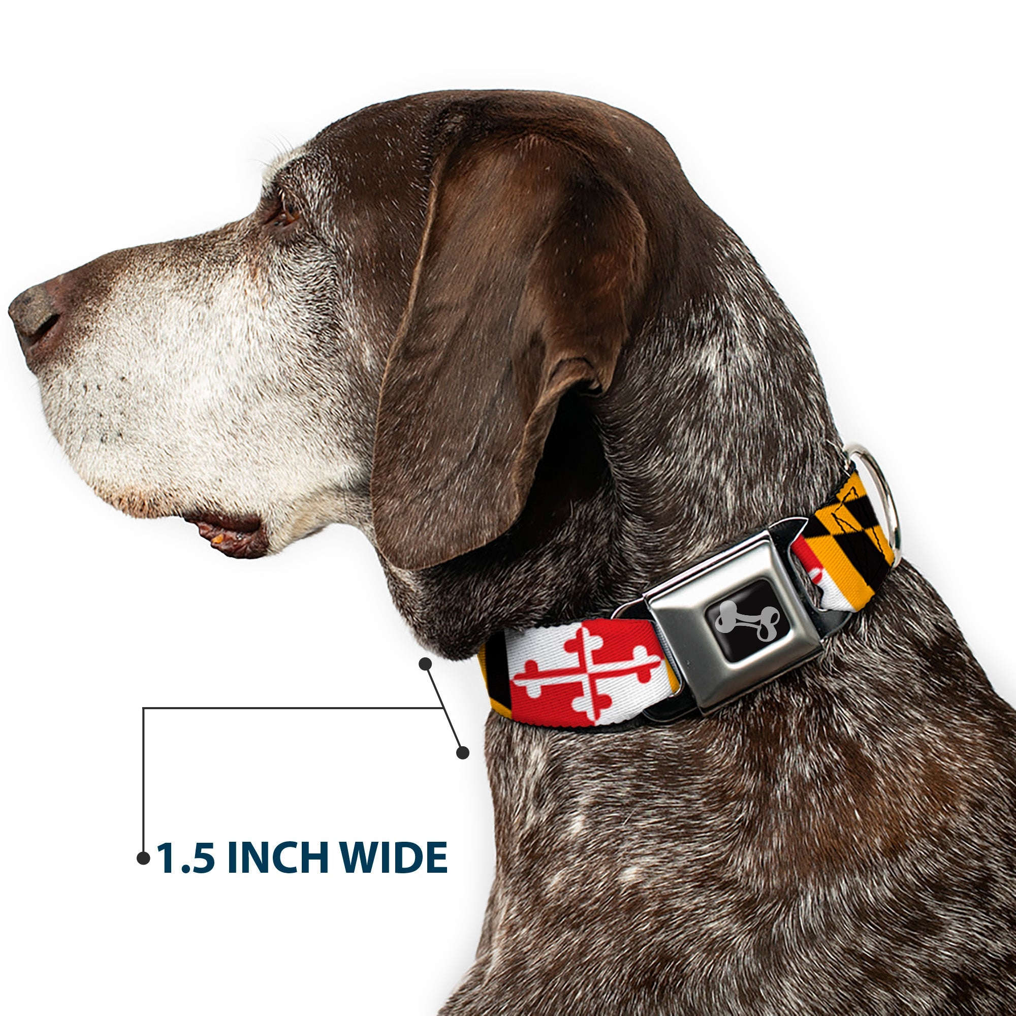 Dog Bone Seatbelt Buckle Collar - Maryland Flags