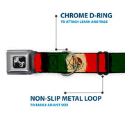 Dog Bone Seatbelt Buckle Collar - Mexico Flag Distressed Painting
