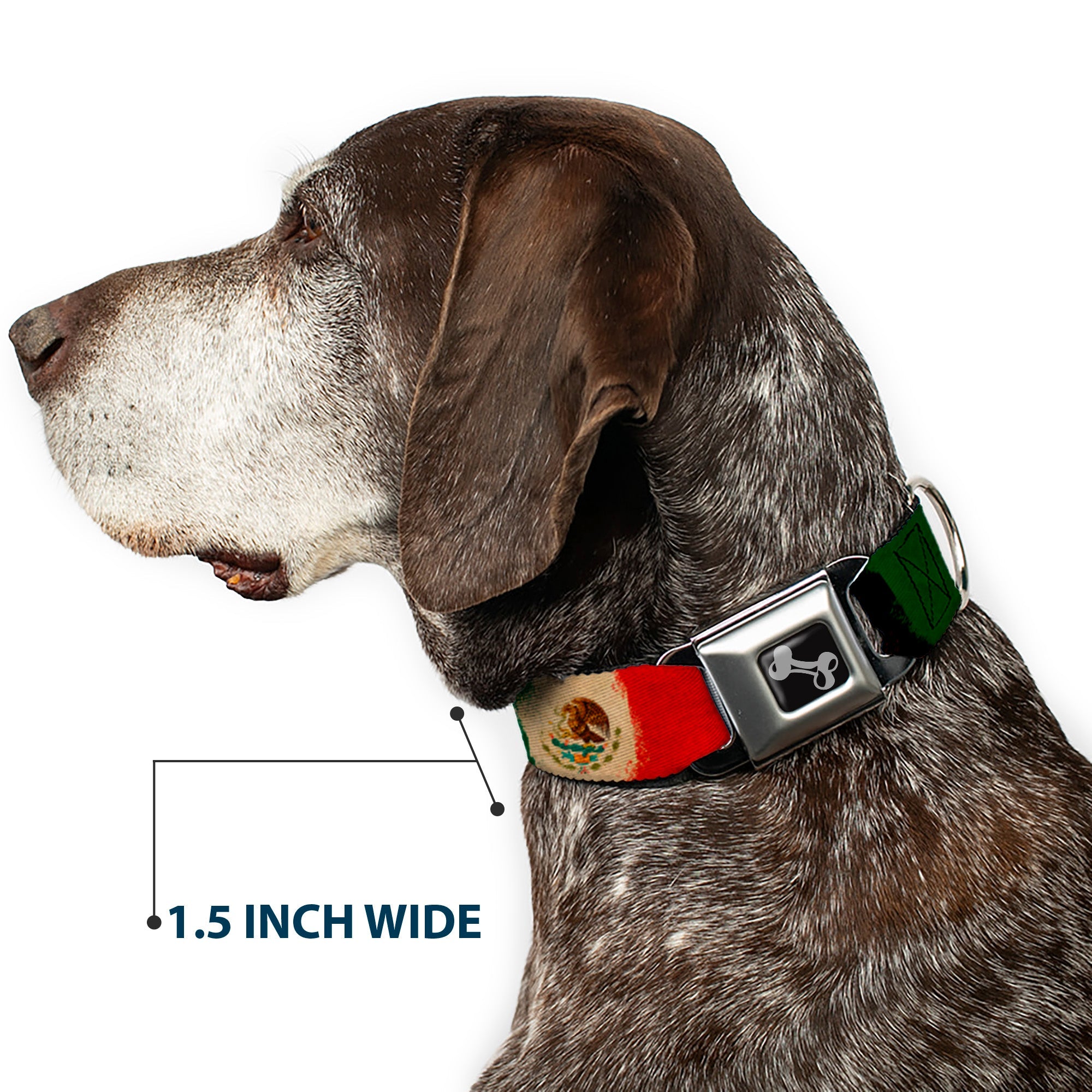 Dog Bone Seatbelt Buckle Collar - Mexico Flag Distressed Painting