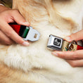 Load image into Gallery viewer, Dog Bone Seatbelt Buckle Collar - Mexico Flag Distressed Painting
