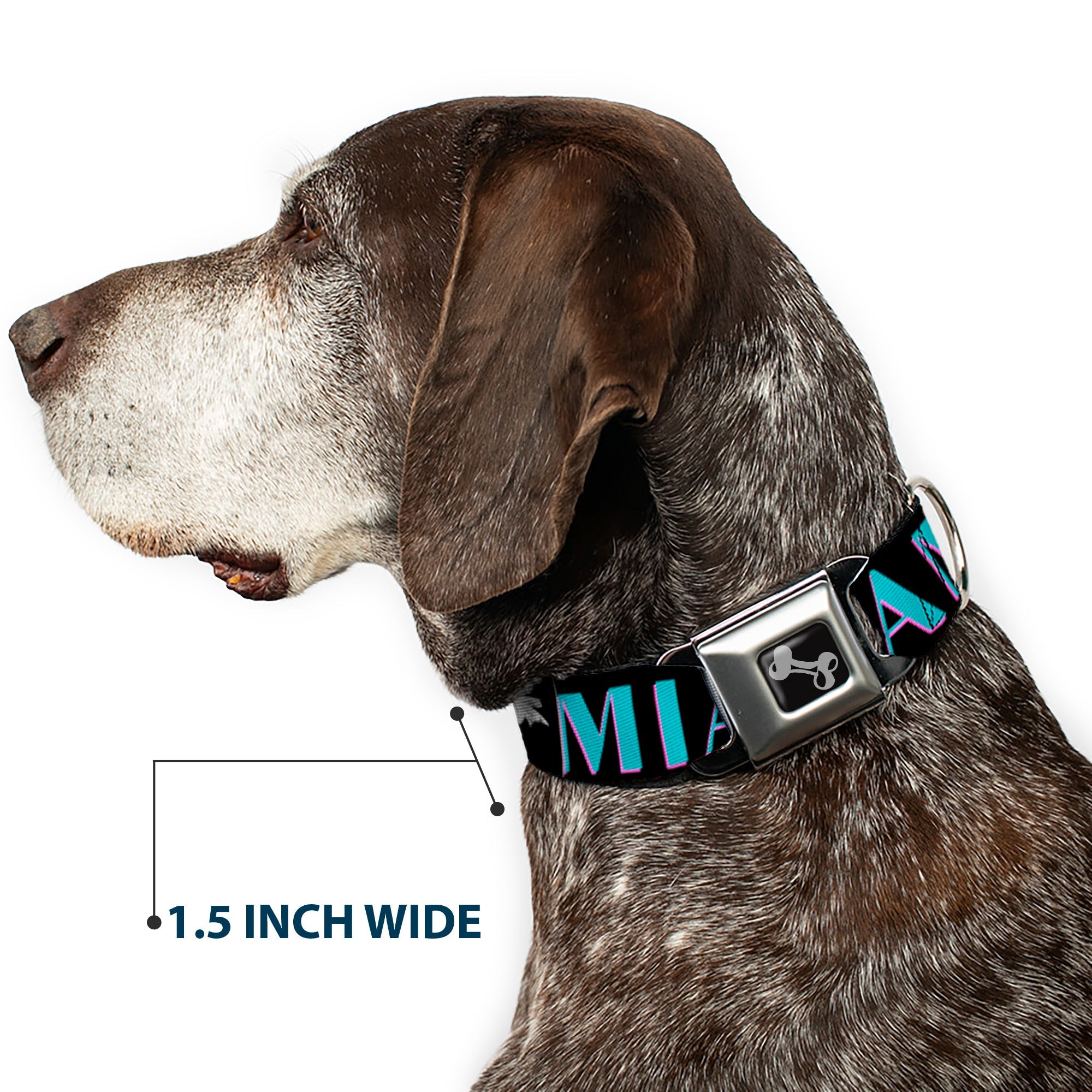 Dog Bone Seatbelt Buckle Collar - MIAMI/Palm Trees Black/White/Pink//Teal