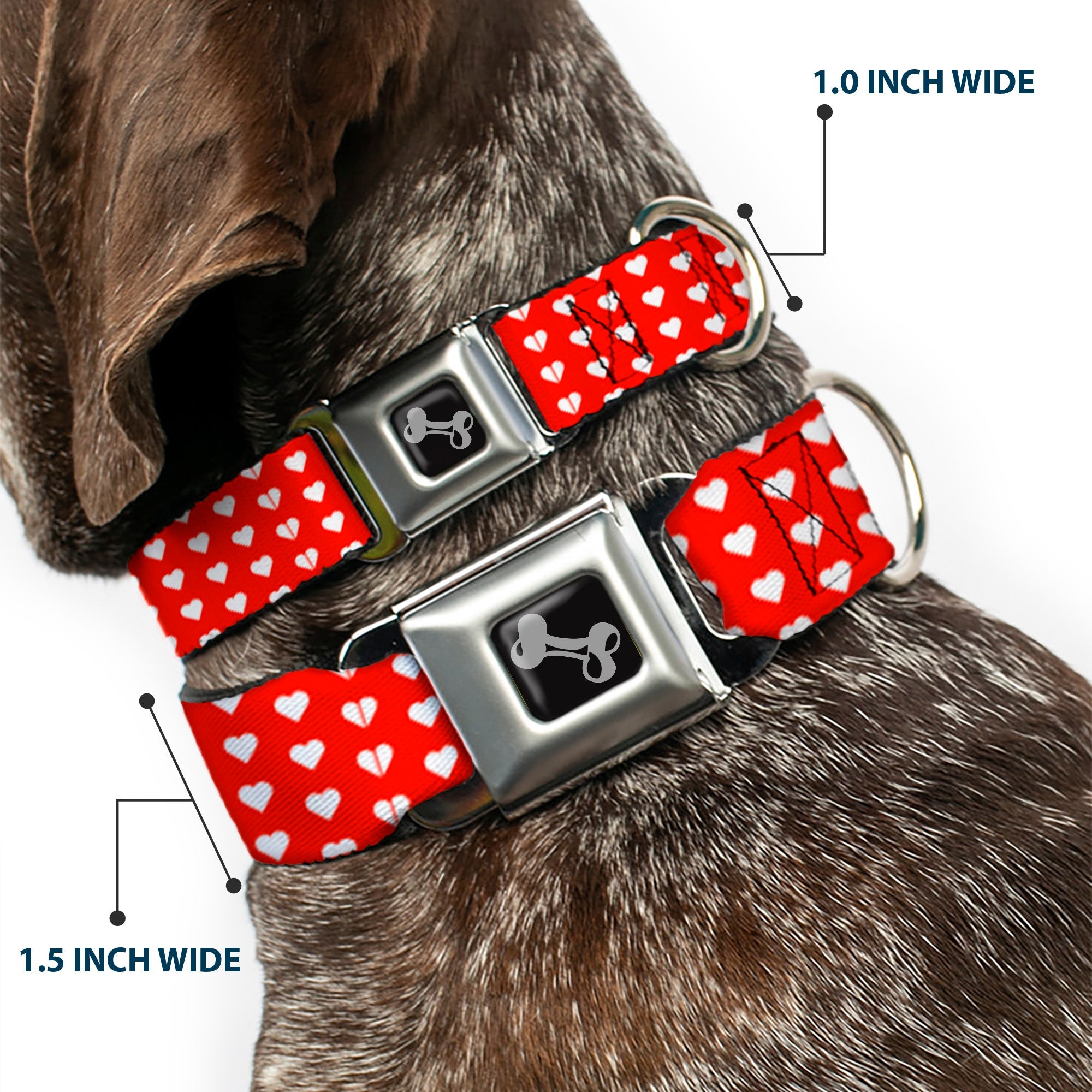 Dog Bone Seatbelt Buckle Collar - Mini Hearts Monogram Red/White