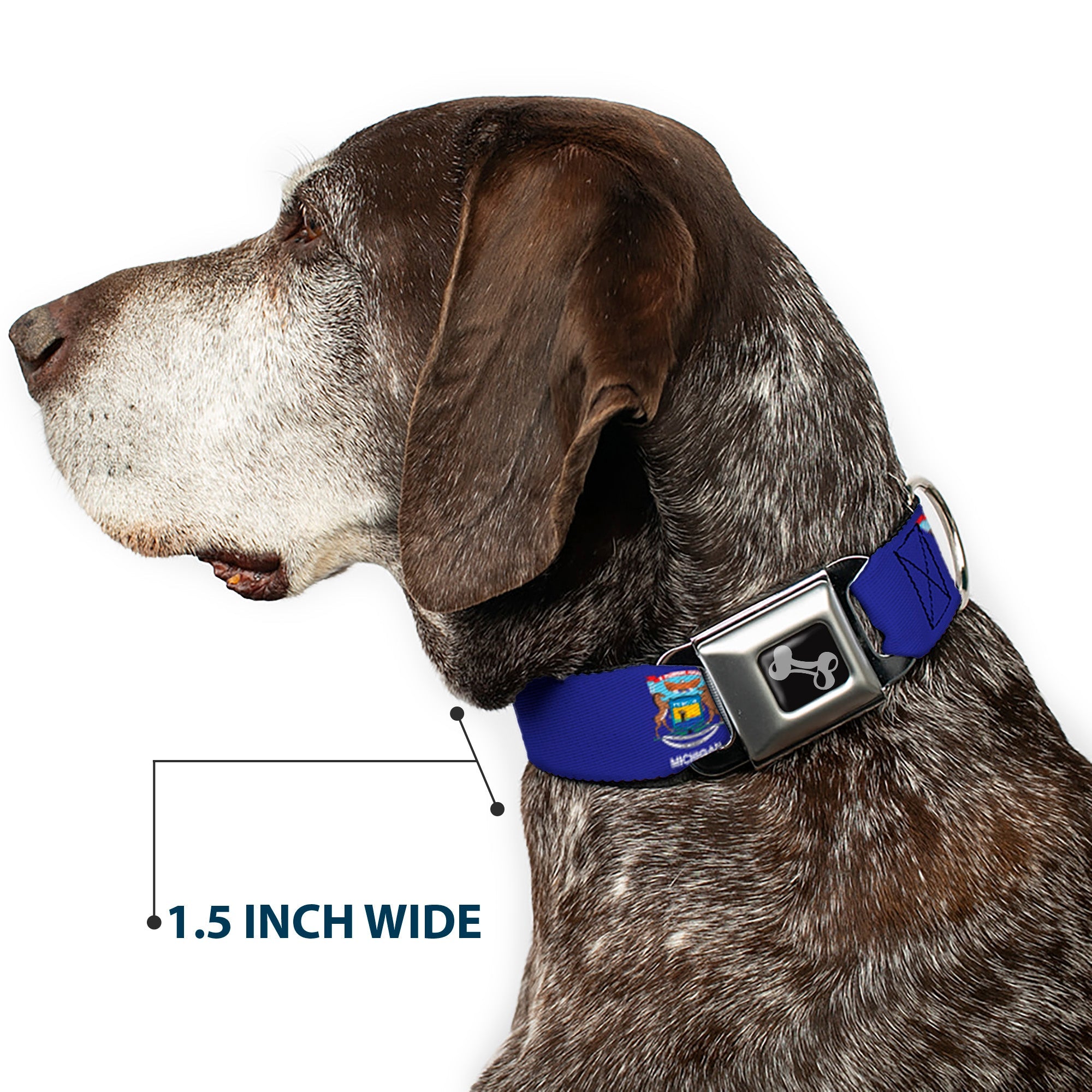 Dog Bone Black/Silver Seatbelt Buckle Collar - Michigan Flag Continuous