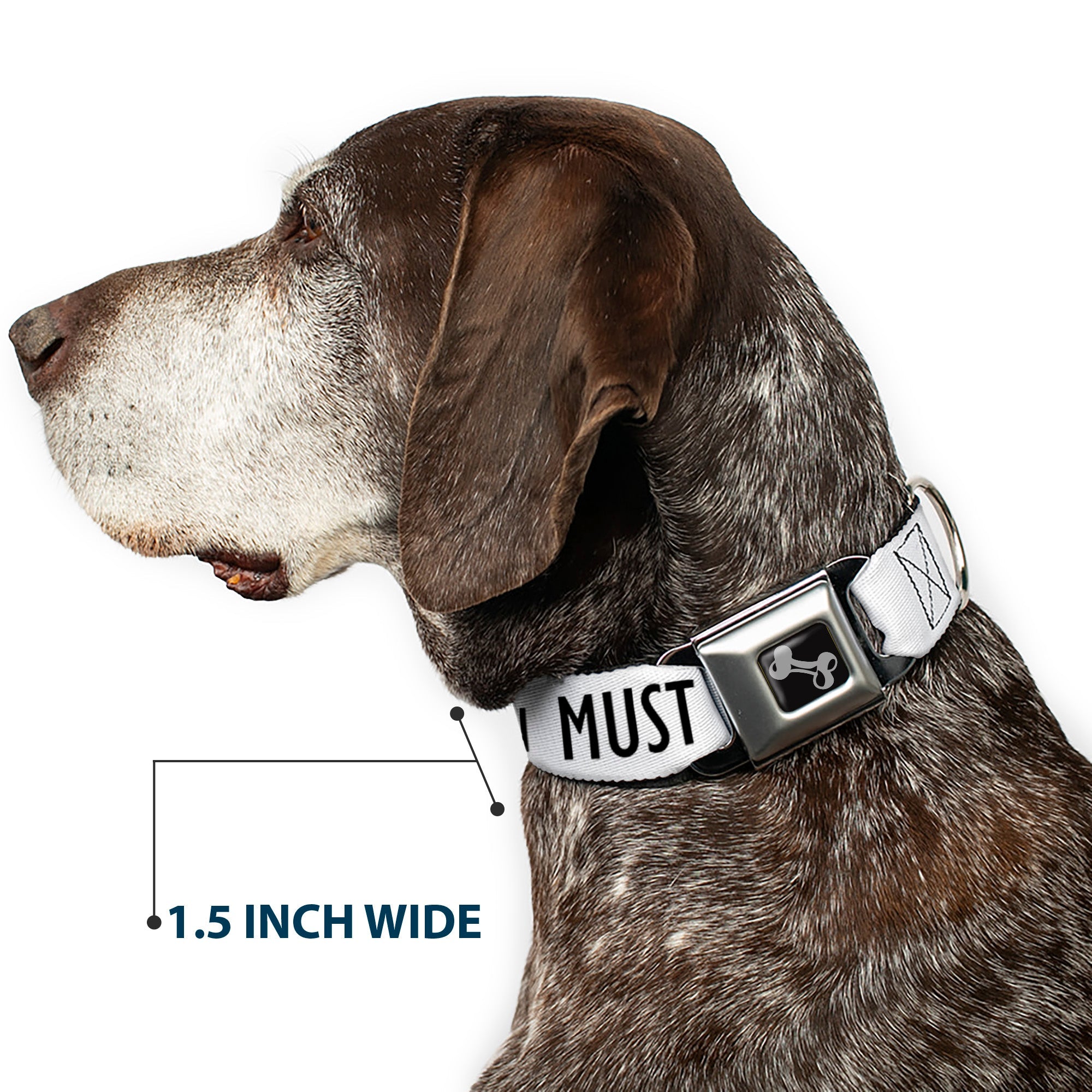 Dog Bone Black/Silver Seatbelt Buckle Collar - THE MOUNTAINS ARE CALLING AND I MUST GO/Mountains Outline White/Black