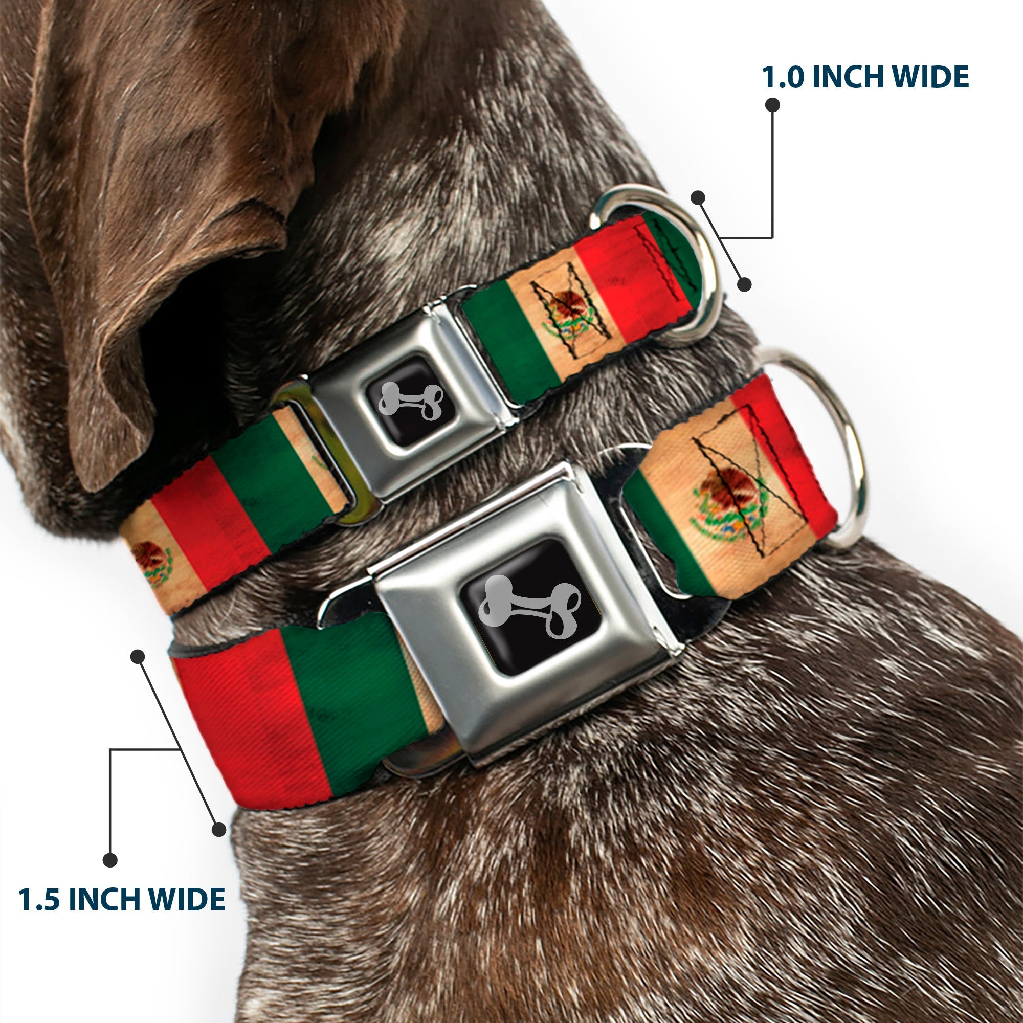 Dog Bone Black/Silver Seatbelt Buckle Collar - Mexico Flag Continuous Vintage