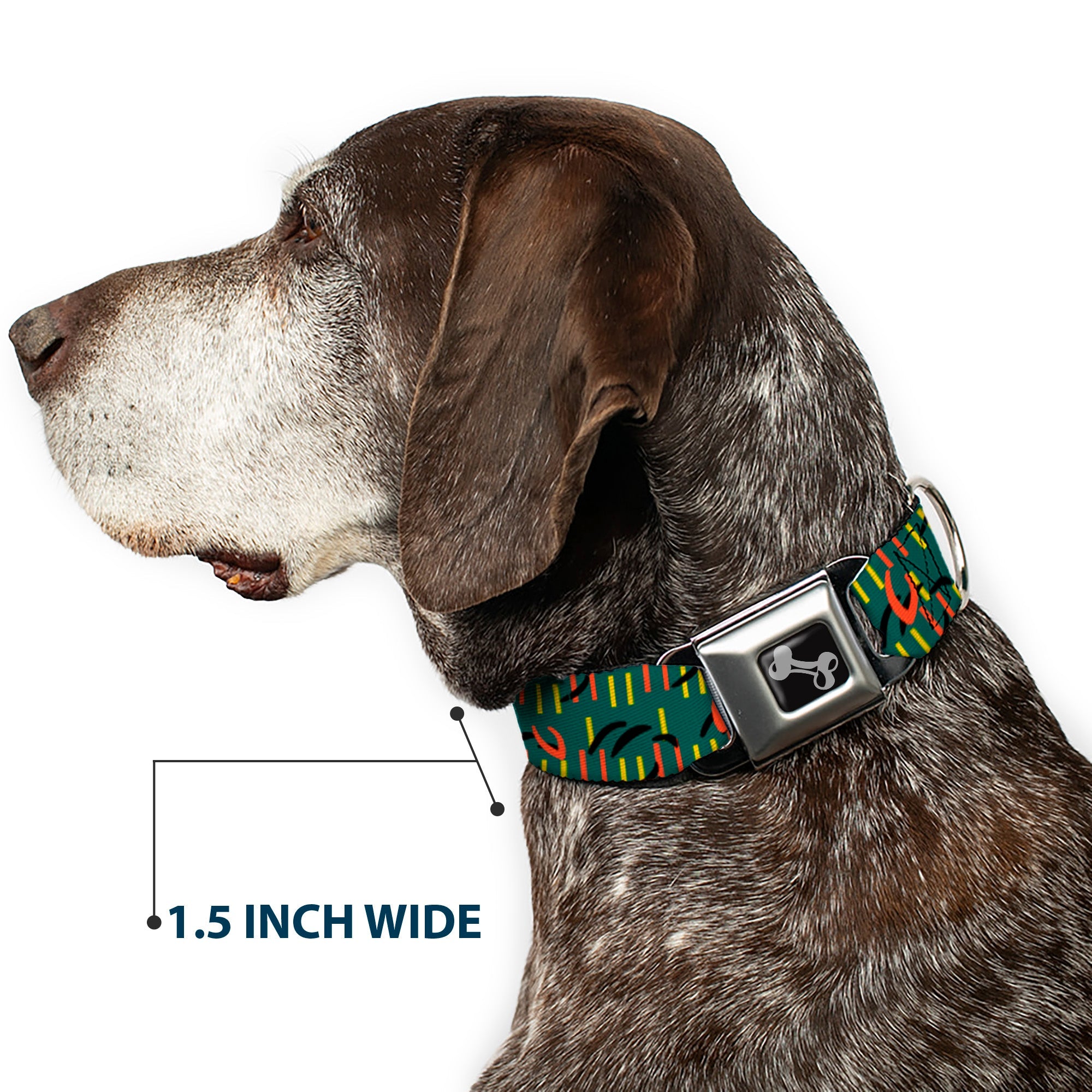Dog Bone Black/Silver Seatbelt Buckle Collar - MCO Orlando International Airport Carpet Teal/Orange/Yellow/Black