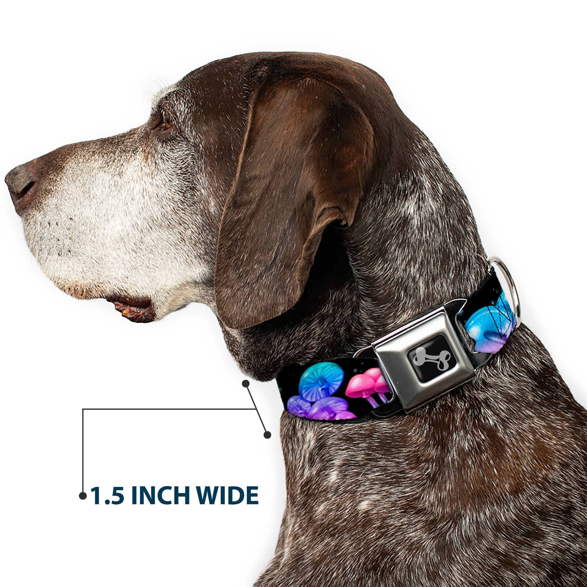 Dog Bone Black/Silver Seatbelt Buckle Collar - Mushroom Glow Black/Multi Color