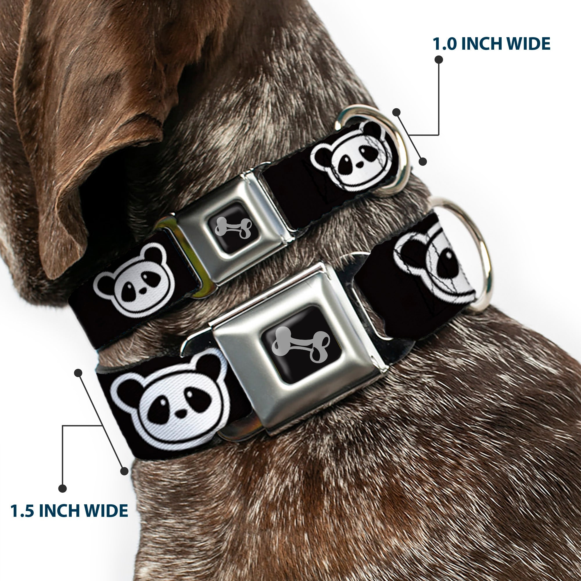 Dog Bone Seatbelt Buckle Collar - Panda Bear Cartoon2 Black/White