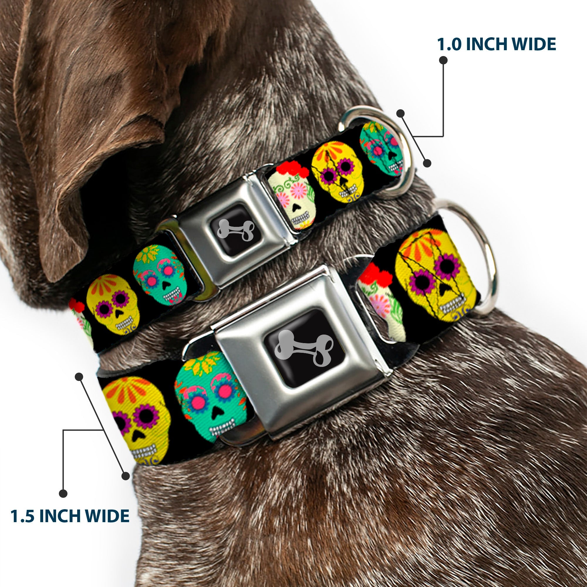 Dog Bone Black/Silver Seatbelt Buckle Collar - Painted Sugar Skulls Black/Multi Color