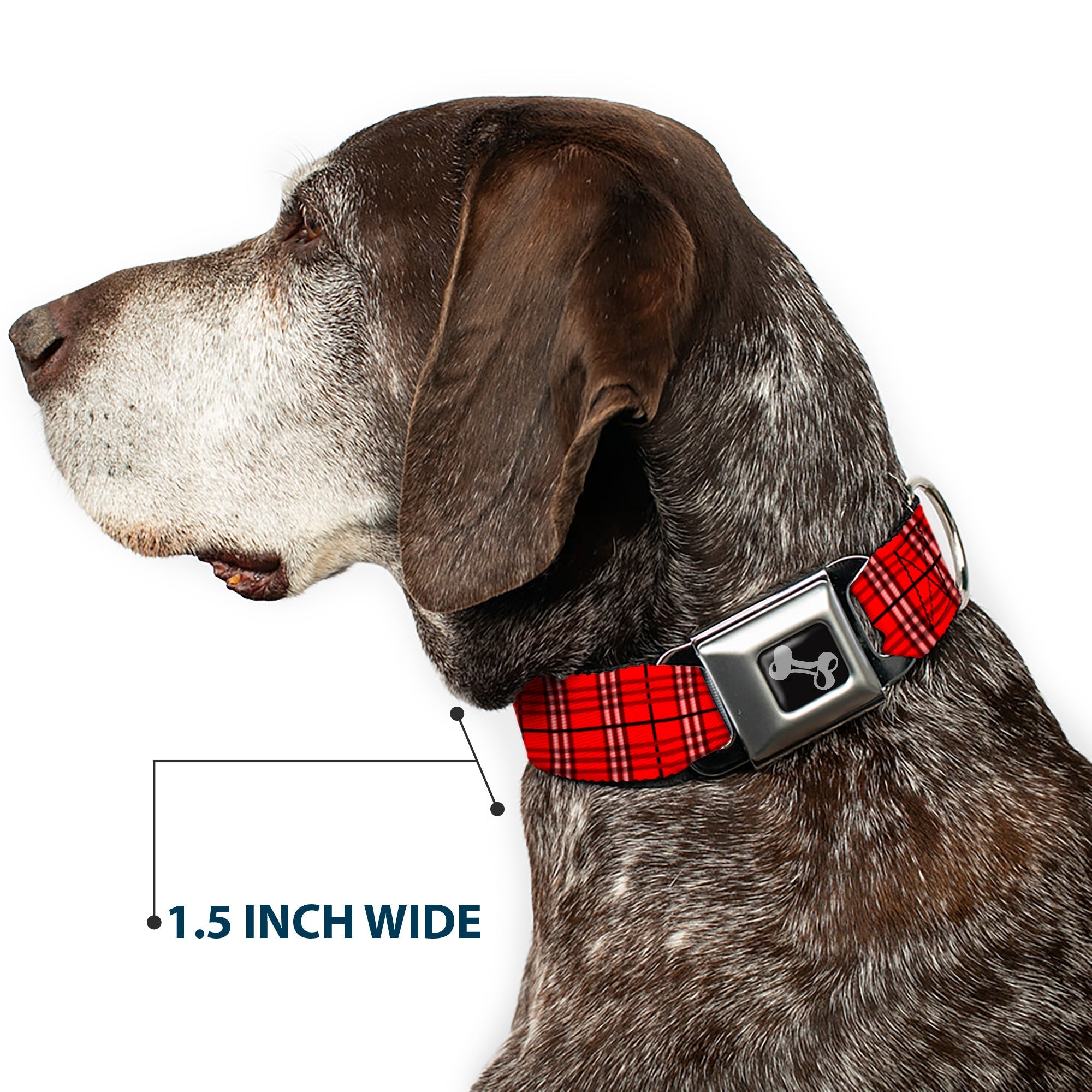 Dog Bone Seatbelt Buckle Collar - Plaid Red