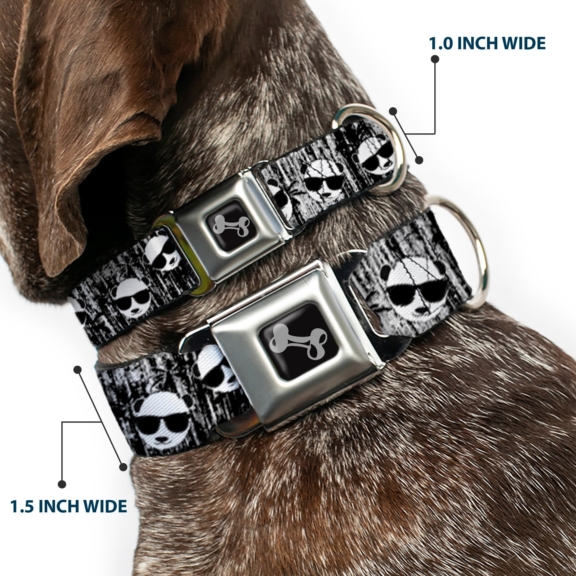 Dog Bone Seatbelt Buckle Collar - Panda w/Sunglasses & Palm Trees
