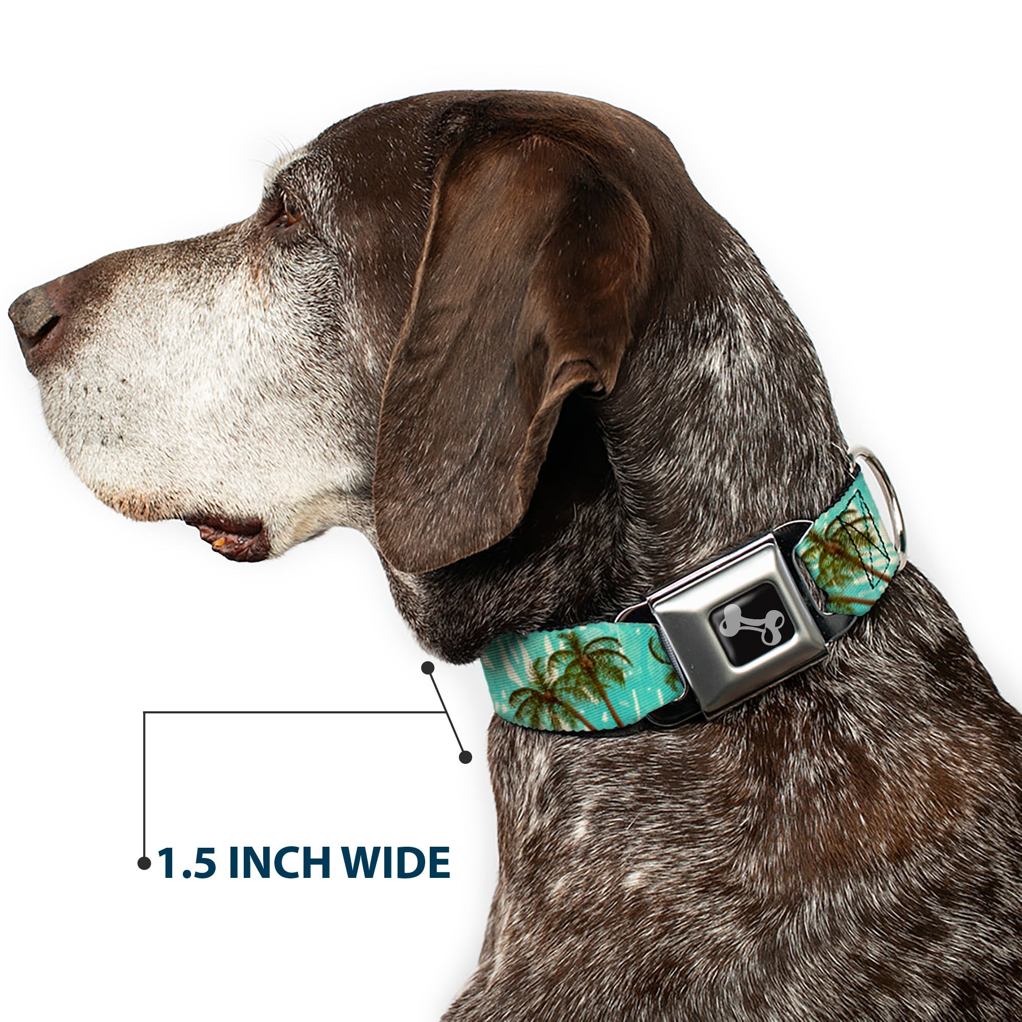 Dog Bone Black/Silver Seatbelt Buckle Collar - Palm Trees Swaying Tan/Teal