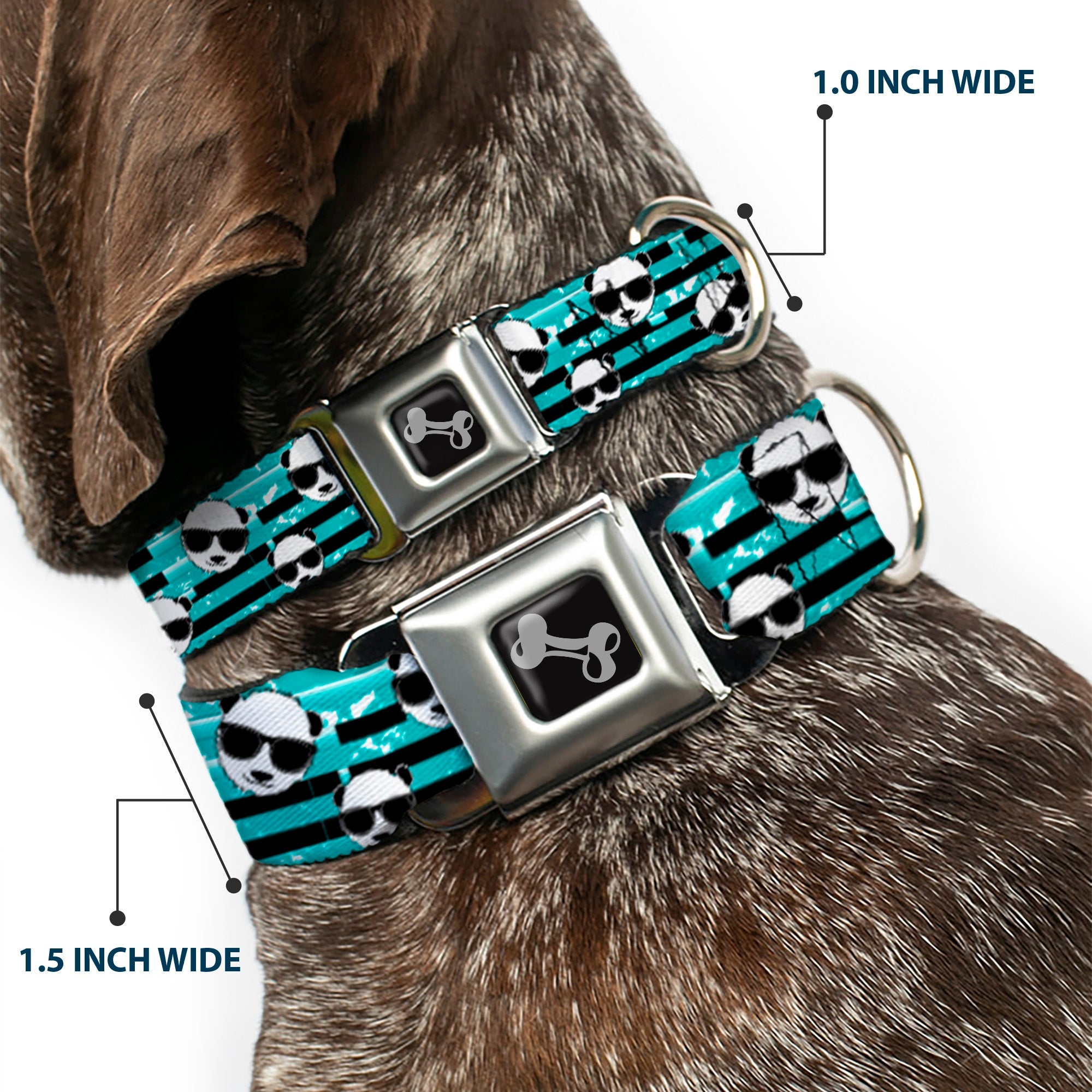 Dog Bone Seatbelt Buckle Collar - Multi Panda w/Sunglasses Stripe Turquoise/Black