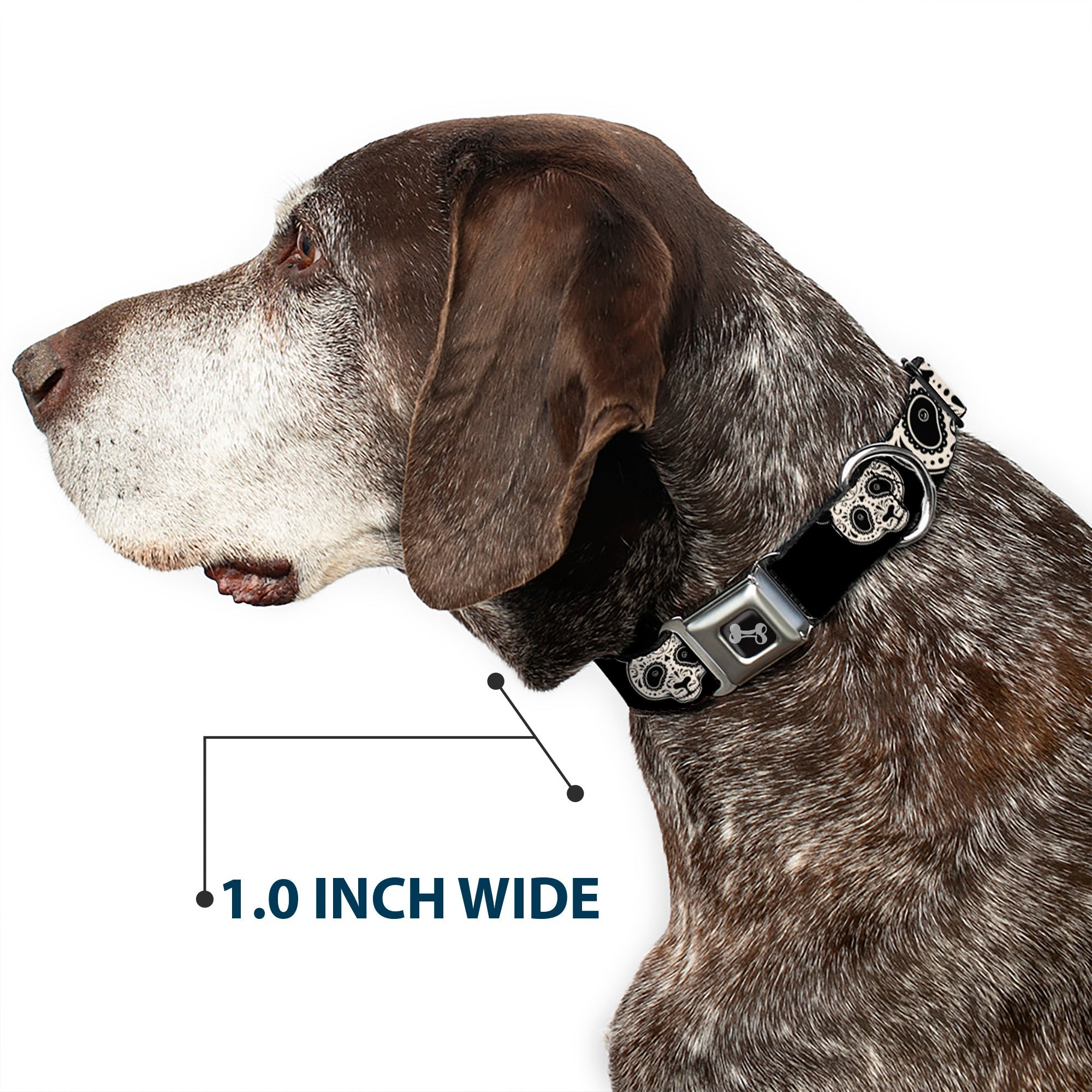 Dog Bone Seatbelt Buckle Collar - Panda Bear Sugar Skull Black/White