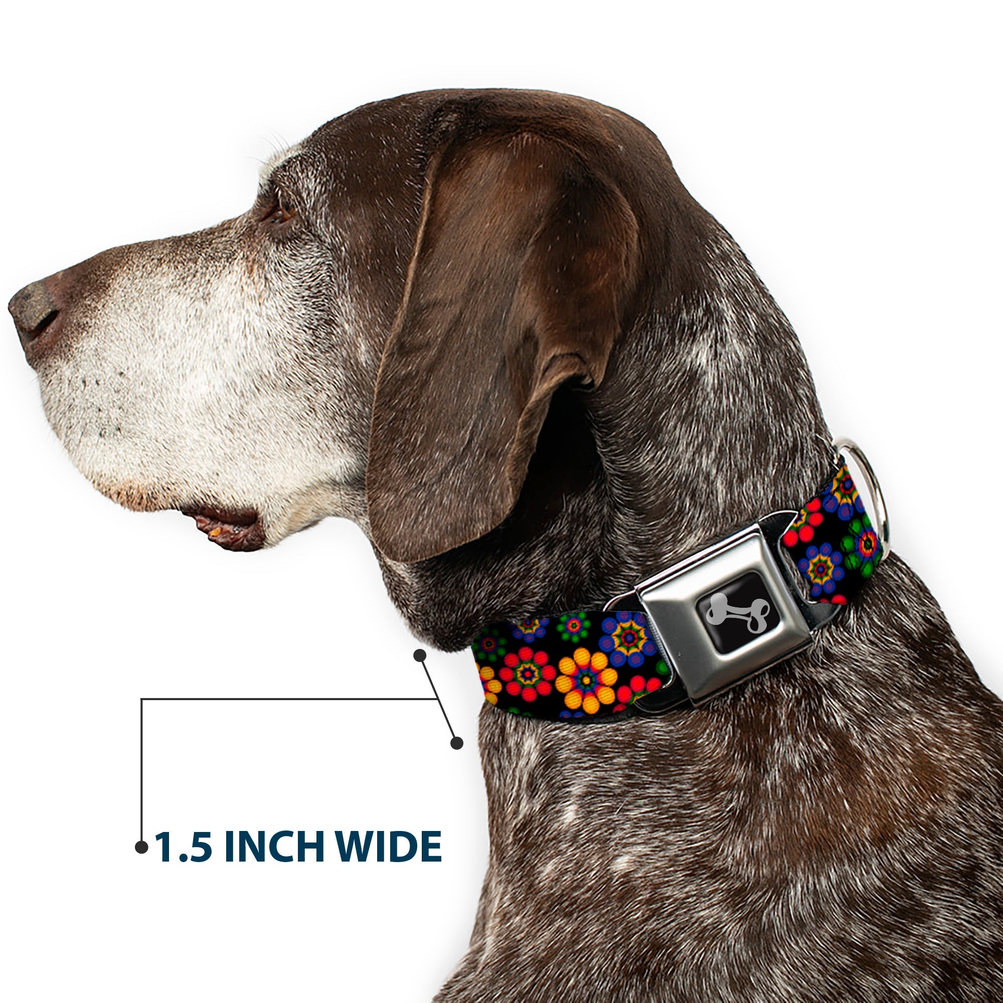 Dog Bone Seatbelt Buckle Collar - Psychedelic Daisies Black/Multi Color