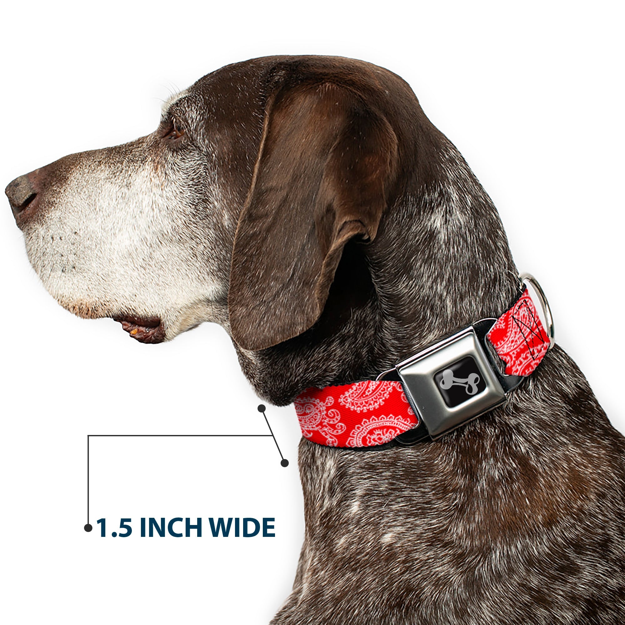Dog Bone Seatbelt Buckle Collar - Paisley Red/White