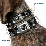 Buckle-Down Seatbelt Buckle Dog Collar - Pot Leaves/Smoke Black/Gray/White