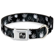 Buckle-Down Seatbelt Buckle Dog Collar - Pot Leaves/Smoke Black/Gray/White