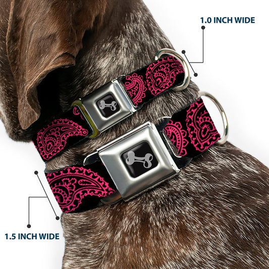 Dog Bone Black/Silver Seatbelt Buckle Collar - Paisley Black/Neon Pink